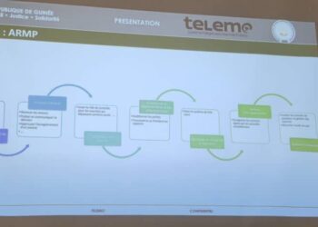 Digitalisation des marchés publics : une priorité présidentielle qui prend forme avec TELEMO